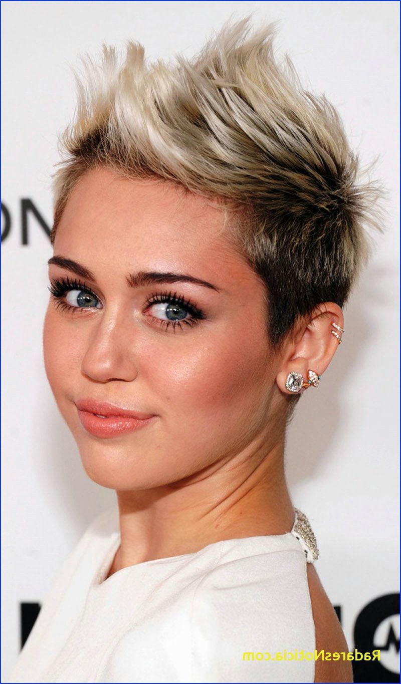 Short Hairstyles For Round Faces 30 New Short Hairstyles For Round Pertaining To Short Hairstyles For Women With A Round Face (View 16 of 25)