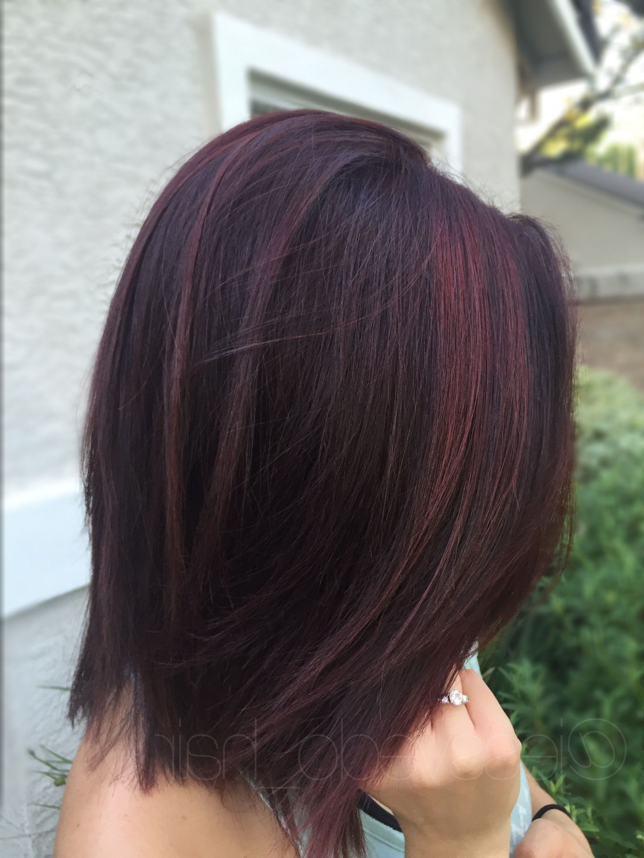 Short Hairstyles With Color Highlights Review | Latest Hairstyles Inside Short Haircuts With Red Color (Photo 14 of 25)