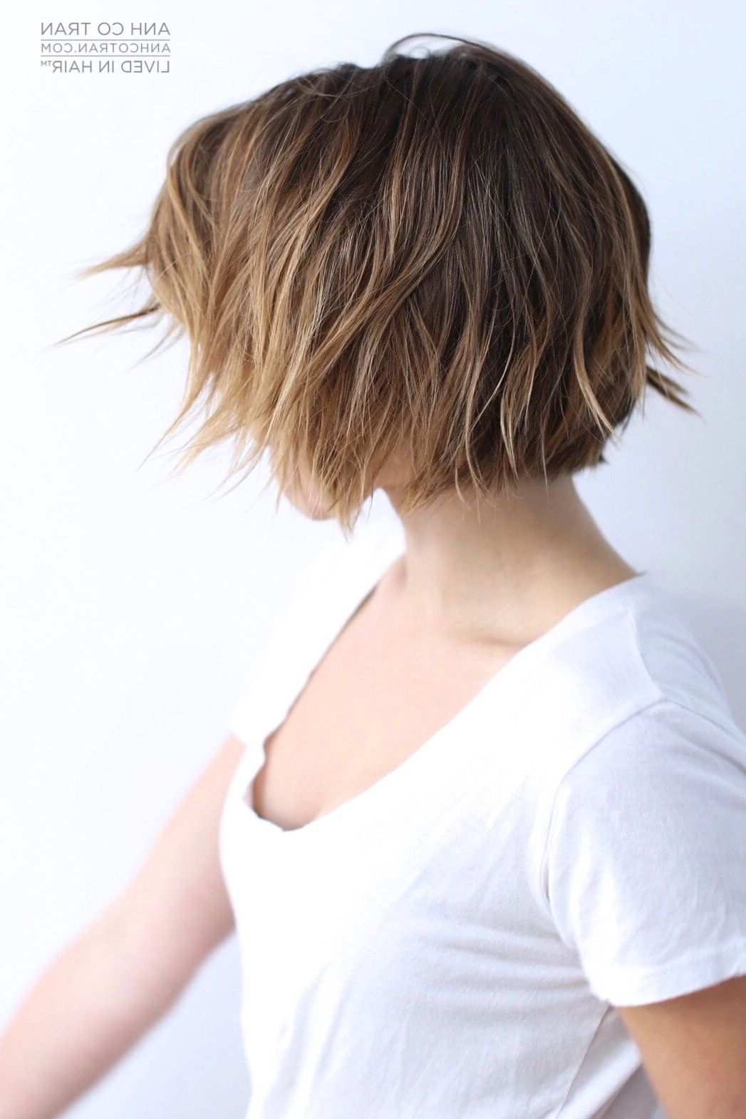 Sophia Bush // Lived In Hair Before & After. Cut/style: Anh Co Tran With Sophia Bush Short Hairstyles (Photo 9 of 25)