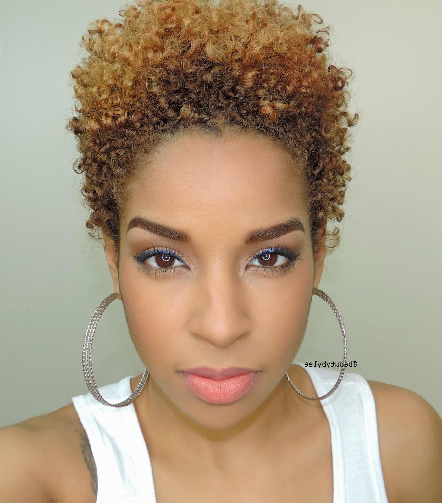 Top Ten Elegant Short Natural Haircuts For Black Females Inspiration Throughout Short Hairstyles For Black Women With Fat Faces (Photo 14 of 25)