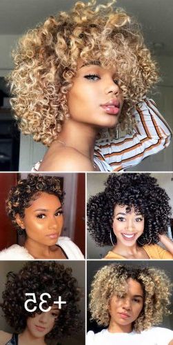 40 Beloved Short Curly Hairstyles For Women Of Any Age! | Lovehairstyles For Short Curly Hairstyles (Photo 7 of 25)