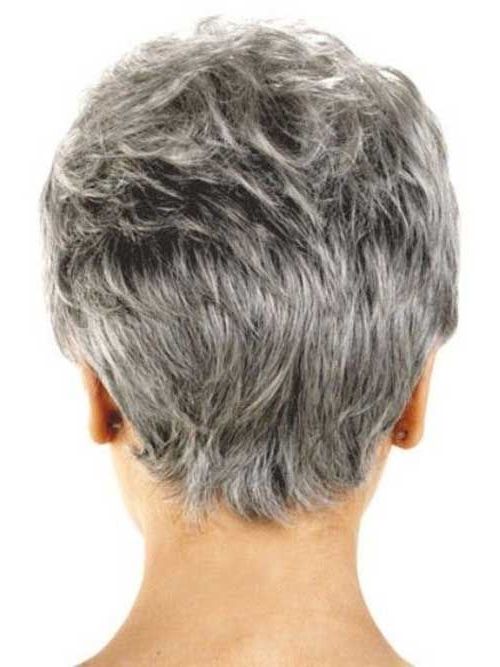 Image Result For Short Haircuts For Women Over 50 Back View | Hair With Regard To Voluminous Gray Pixie Haircuts (View 15 of 25)