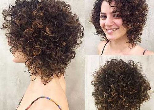 Short Curly Haircuts Pertaining To Feminine Shorter Hairstyles For Curly Hair (View 15 of 25)