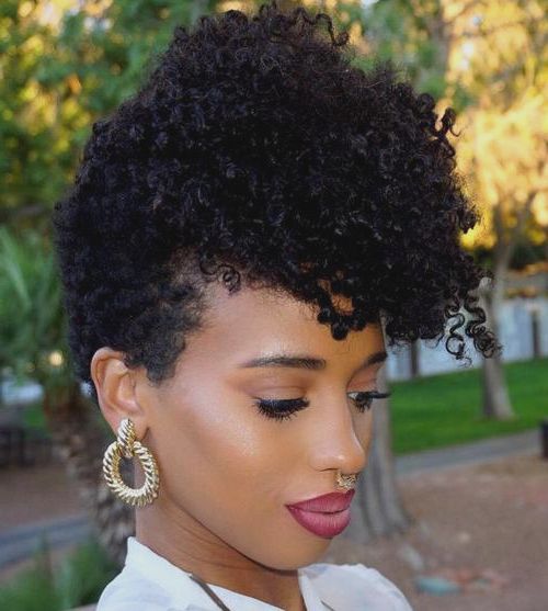 Black Hairstyles : Black Natural Curly Mohawk Hairstyles Small Home In Mohawks Hairstyles With Curls And Design (View 20 of 25)