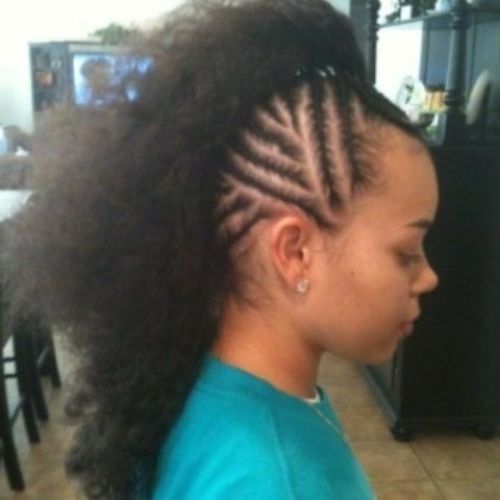 Braided Mohawk Hairstyles For Kids – 10 Cute Braided Mohawk Regarding Small Braids Mohawk Hairstyles (View 21 of 25)