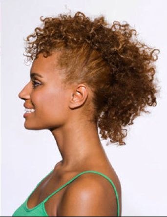 Curly Hair Style – Faux Hawk | Curly Hair Products Blog And Articles In Curly Style Faux Hawk Hairstyles (Photo 17 of 25)