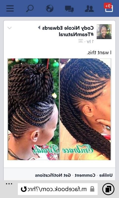 Mohawk Senegalese Twists | Hair | Braids, Hair Styles, Hair Inside Braids And Twists Fauxhawk Hairstyles (View 3 of 25)