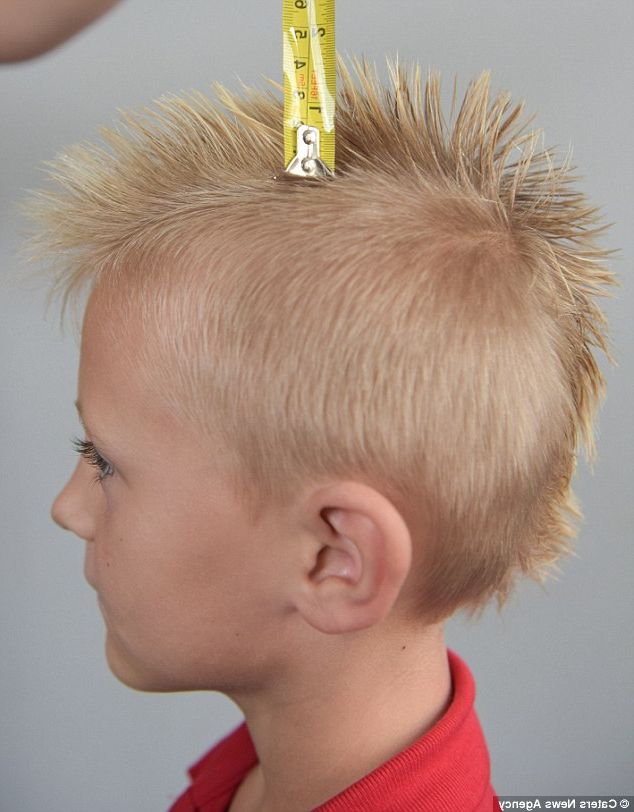School Tells Boy To Shave Off 1.5 Inch Mohawk In Case It Pokes In Ride The Wave Mohawk Hairstyles (Photo 24 of 25)
