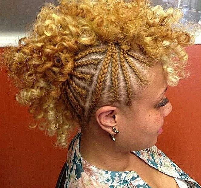 Short Curly Mohawk Hairstyles For Black Women Fresh Cornrows Black With Short Curly Mohawk Hairstyles (View 25 of 25)