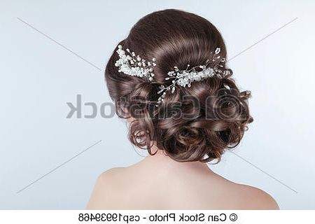 Beauty Wedding Hairstyle. Bride (View 15 of 25)
