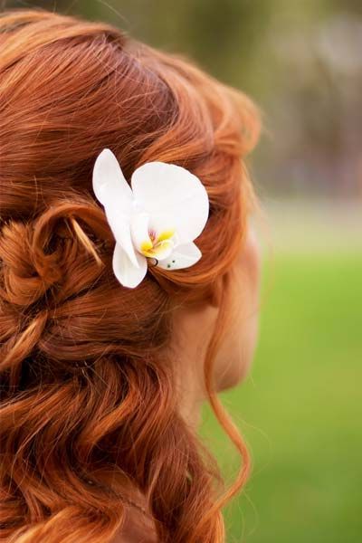 Half Up Wedding Hairstyle With White Orchid  White Flowers Are Used In Curly Wedding Hairstyles With An Orchid (View 9 of 25)