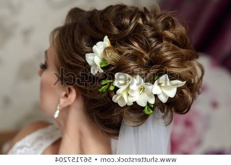 Wedding Hair Styling Brownhaired Bride Curly Stock Photo (Edit Now Throughout Curly Wedding Updos With Flower Barrette Ties (View 21 of 25)