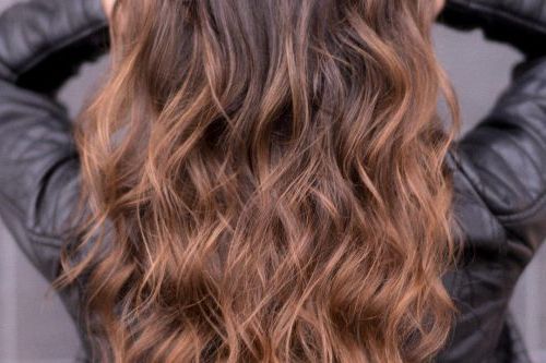 18 Greatest Long Hairstyles For Women With Long Hair In 2019 With Regard To Long Hairstyles Colours (View 17 of 25)