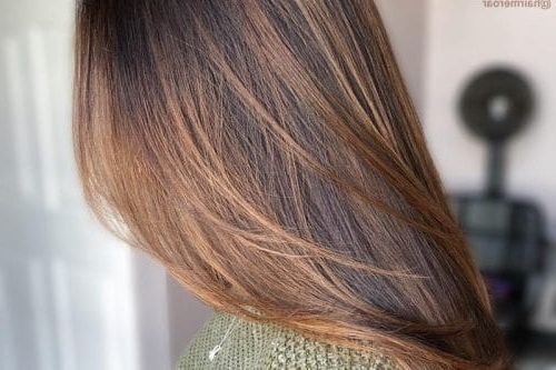 2019's Best Hair Color Ideas Are Right Here For Long Hairstyles Colours (View 10 of 25)