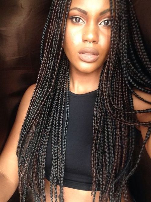 65 Box Braids Hairstyles For Black Women With Long Hairstyles For Black Hair (View 20 of 25)