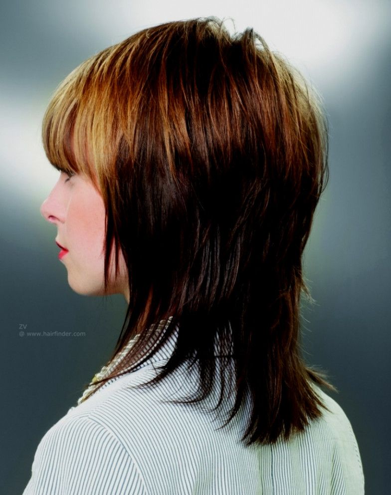 Layered Haircuts Back And Front Long Layered Haircut Back View In Back View Of Long Hairstyles (Photo 23 of 25)