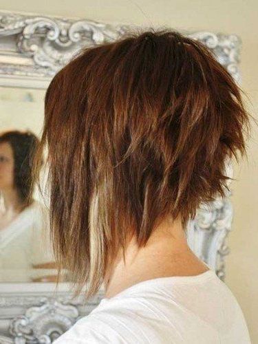 Short In The Back Long In The Front Hairstyles. In This Article We For Long Front Short Back Hairstyles (Photo 2 of 25)