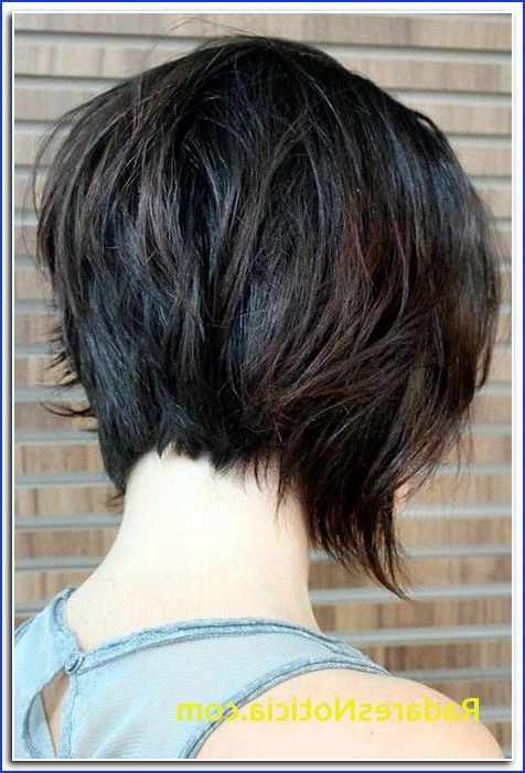 Short In The Front Long In The Back Hairstyles Long Front Short Back With Hairstyles Long In Front Short In Back (View 12 of 25)