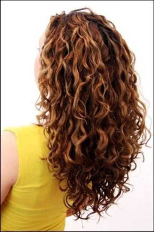 Want The Back To My Hair To Be Cascading Like This, Rather Than Pertaining To Long Hairstyles With Layers And Curls (Photo 6 of 25)