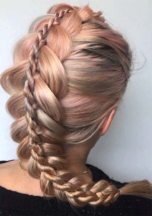 100 Ridiculously Awesome Braided Hairstyles To Inspire You With Regard To Recent Double Rapunzel Side Rope Braid Hairstyles (View 11 of 25)