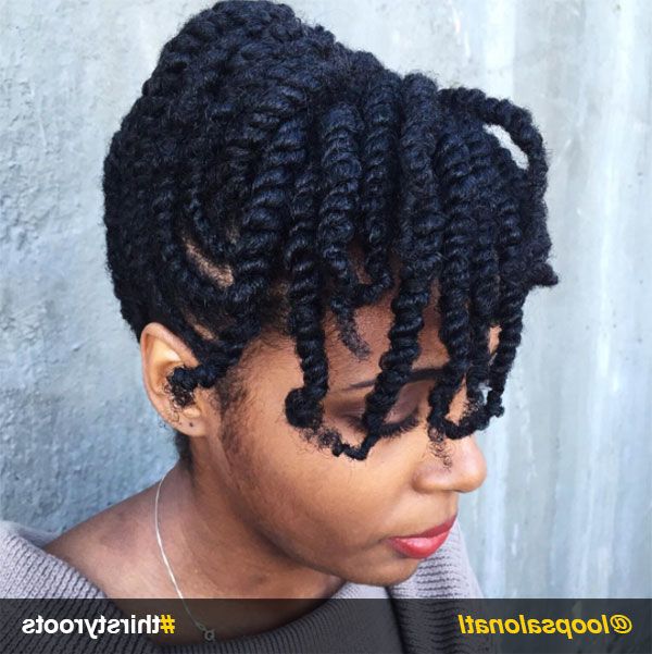 13 Natural Hair Updo Hairstyles You Can Create With Recent Updo Hairstyles With 2 Strand Braid And Curls (View 23 of 25)
