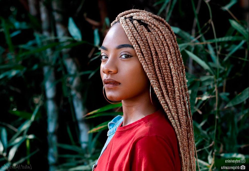 15 Blonde Box Braids That Are Straight Fire In 2019 Regarding Most Popular Geometric Blonde Cornrows Braided Hairstyles (View 23 of 25)