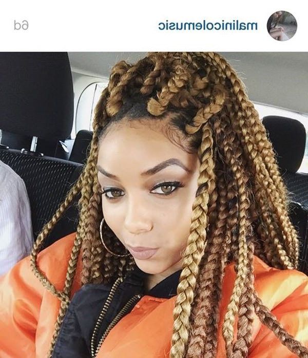 150 Chic Box Braids Styles That You Should Try In Most Recently Dookie Braid Hairstyles With Blonde Highlights (View 21 of 25)