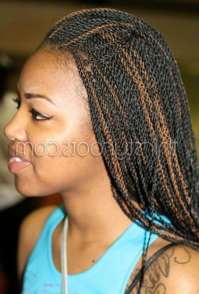 1b/30 Extra Small Rope Twists | Rope Twists | Braids 2017 Inside Most Up To Date Black Twists Micro Braids With Golden Highlights (View 5 of 25)