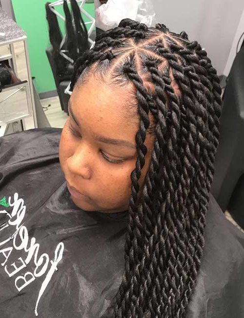 20 Best Hairstyles For Senegalese Twist With Regard To Most Current Rope Twist Hairstyles With Straight Hair (View 4 of 25)