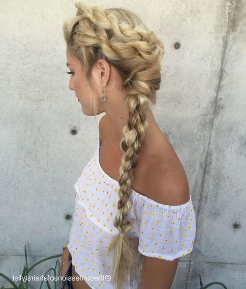 20 Inspiring Ideas For Rope Braid Hairstyles | Hair | Braids Within Latest Double Rapunzel Side Rope Braid Hairstyles (View 1 of 25)