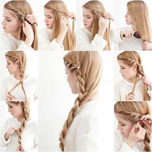 20 Terrific Hairstyles For Long Thin Hair With Best And Newest Side Rope Braid Hairstyles For Long Hair (Photo 19 of 25)