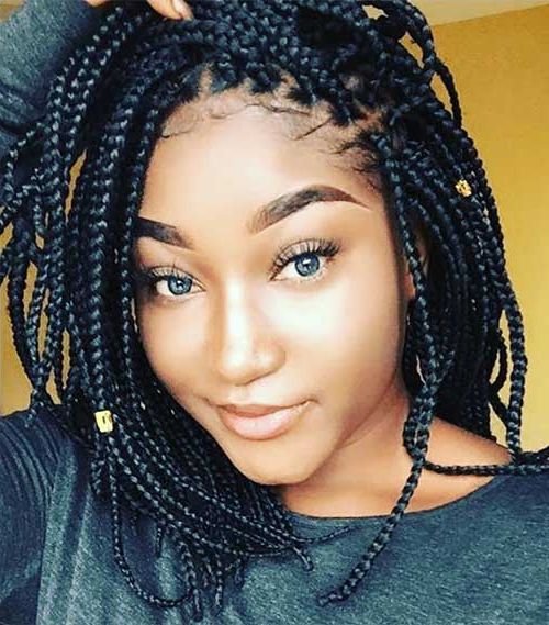 25 Exquisite Bob Braids You Need To Try Out Inside Best And Newest Mini Braids Bob Hairstyles (View 9 of 25)