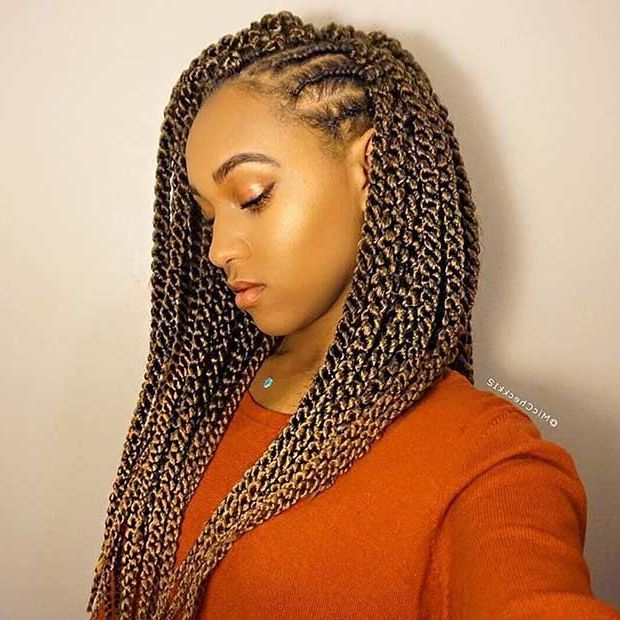 31 Stunning Crochet Twist Hairstyles | Hair | Crochet Twist Intended For Latest Side Parted Micro Twist Hairstyles (View 15 of 25)