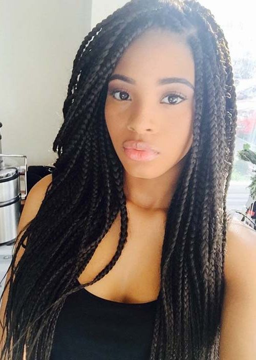 35 Awesome Box Braids Hairstyles You Simply Must Try With Regard To Most Recent Layered Micro Box Braid Hairstyles (View 7 of 25)
