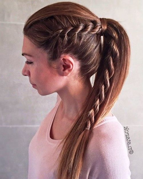 35 Fetching Hairstyles For Straight Hair To Sport This With Regard To Best And Newest Double Rapunzel Side Rope Braid Hairstyles (View 2 of 25)