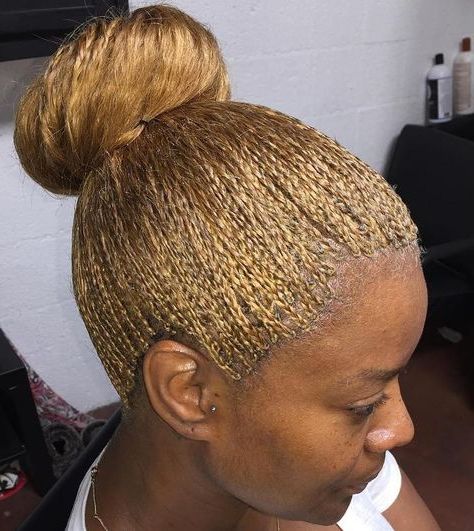 40 Ideas Of Micro Braids And Invisible Braids Hairstyles Intended For Newest Funky Sock Bun Micro Braid Hairstyles (View 1 of 25)
