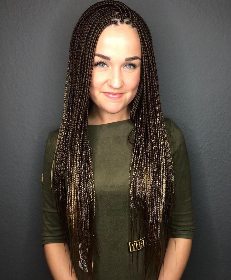 40 Ideas Of Micro Braids And Invisible Braids Hairstyles With Regard To Best And Newest Cleopatra Micro Braids (View 1 of 25)