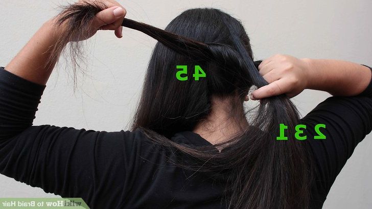 5 Ways To Braid Hair – Wikihow In Most Popular 3d Mermaid Plait Braid Hairstyles (View 25 of 25)