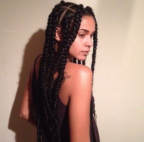 50 Goddess Braids Hairstyles | Herinterest/ In Recent Long Black Yarn Twists Hairstyles (Photo 24 of 25)
