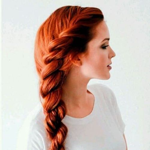 50 Romantic Braid Hairstyles For Long Hair | All Women With Regard To Newest Casual Rope Braid Hairstyles (View 8 of 25)