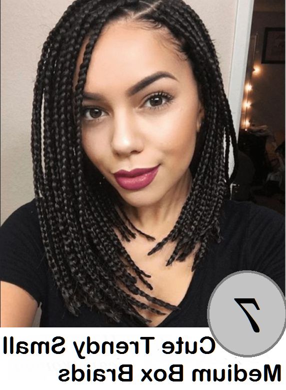 7 Hot Small Medium Box Braids Hairstyles You Try For New With Regard To Current Bumped And Bobbed Braided Hairstyles (View 6 of 25)
