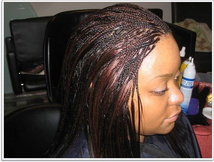 81 Micro Braids You Cannot Miss Throughout Recent Layered Micro Box Braid Hairstyles (View 21 of 25)