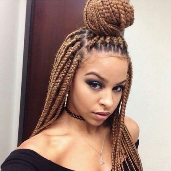 91 Elegant Crochet Braids That Will Blow Your Mind With Regard To Most Current Tiny Twist Hairstyles With Caramel Highlights (View 16 of 25)