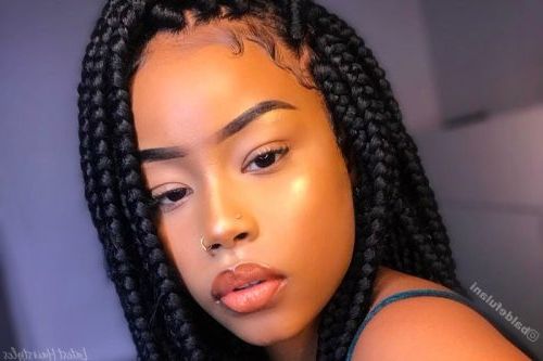 Box Braids Hairstyles – These Are The Hottest Ideas For 2019 Pertaining To Most Current Dookie Braid Bump Hairstyles (View 5 of 25)