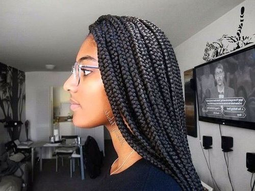 Box Braids Hairstyles – These Are The Hottest Ideas For 2019 Throughout Most Recently Dookie Braid Bump Hairstyles (View 9 of 25)