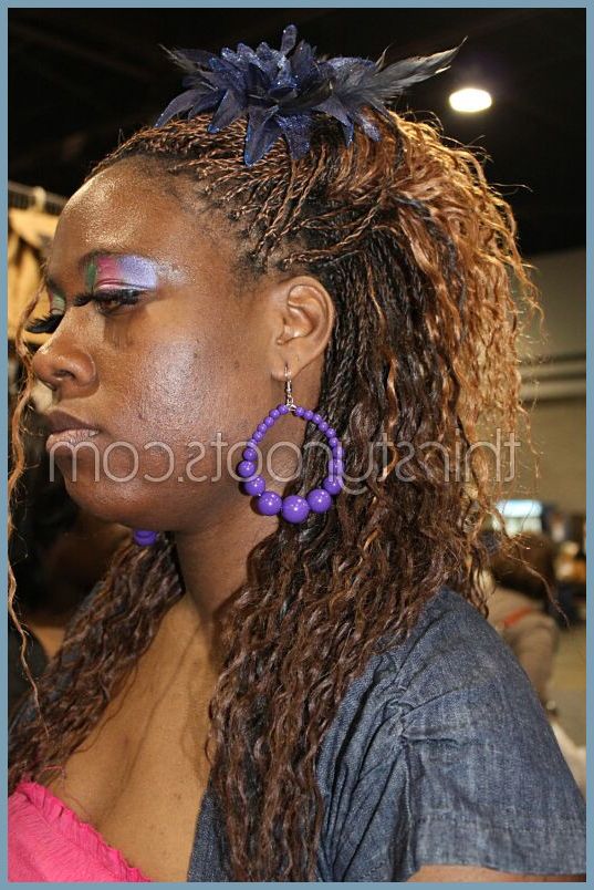 Micro Braids Wet And Wavy Hairstyles 100901 Micro Braids Wet Pertaining To Most Up To Date Micro Braid Hairstyles With Curls (View 19 of 25)