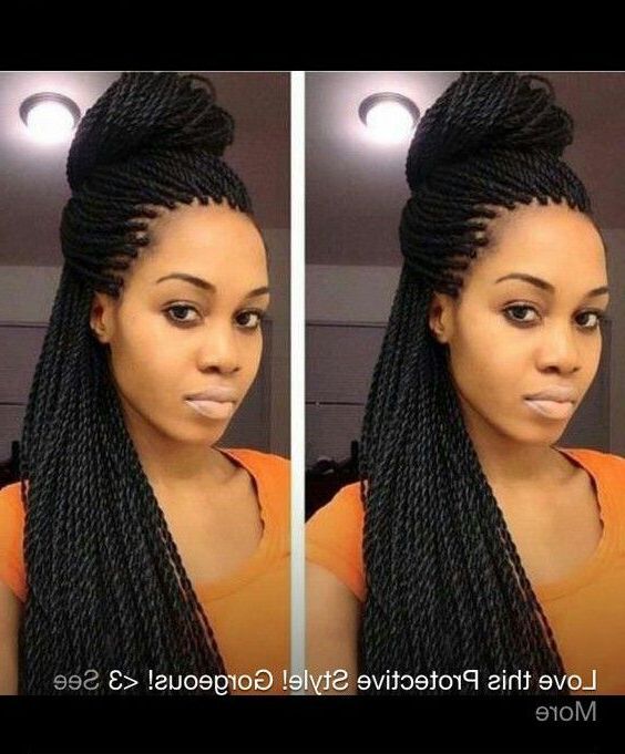 Micro Twist Braids Hairstyles | Long Hairstyles In 2019 Intended For Newest Natural Protective Bun Micro Braid Hairstyles (View 10 of 25)