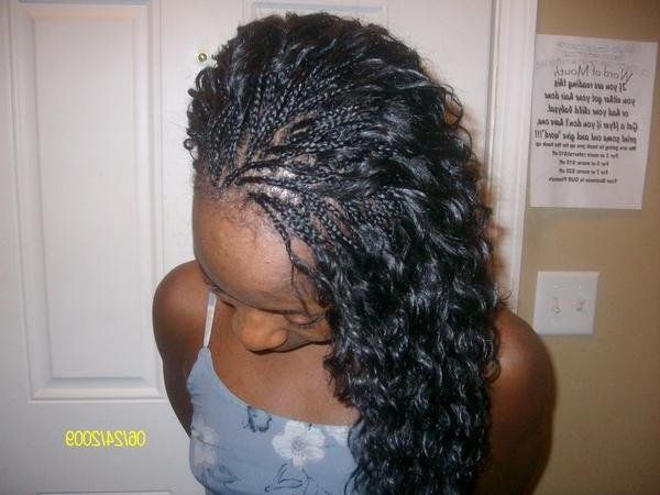 Micros Braids | Micro Front/sew In Back W (View 5 of 25)