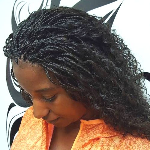 Page 58 Of April 2019's Archives : Micro Braids With Curls Inside Most Recent Renaissance Micro Braid Hairstyles (View 17 of 25)