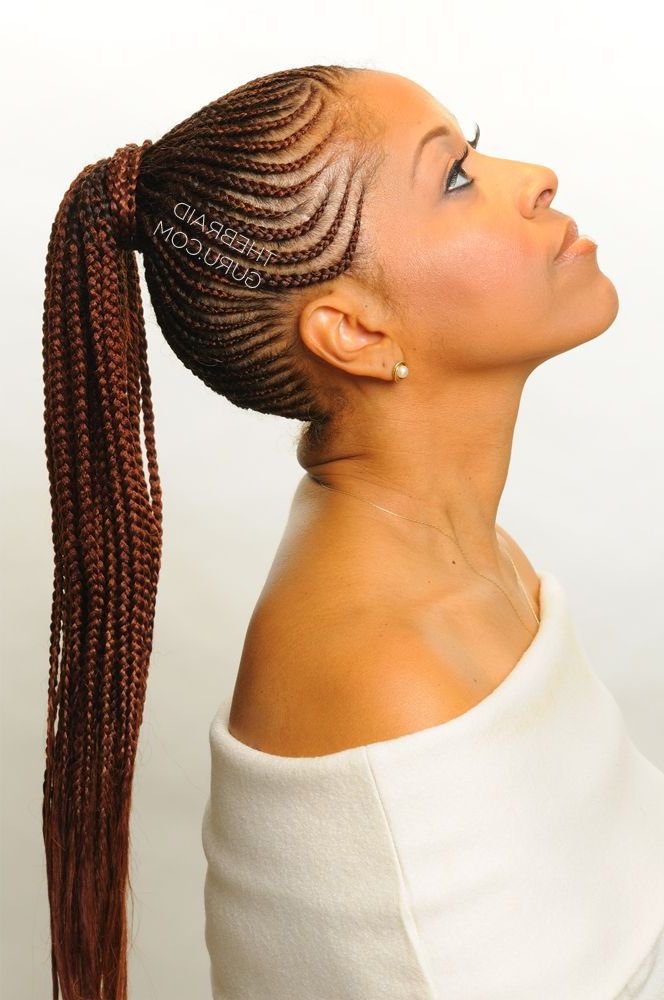 Pin On Braids Within Current Cornrow Ombre Ponytail Micro Braid Hairstyles (View 2 of 25)